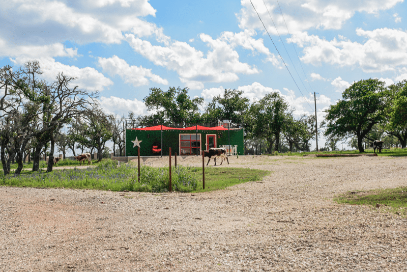 best airbnb to stay in fredericksburg texas