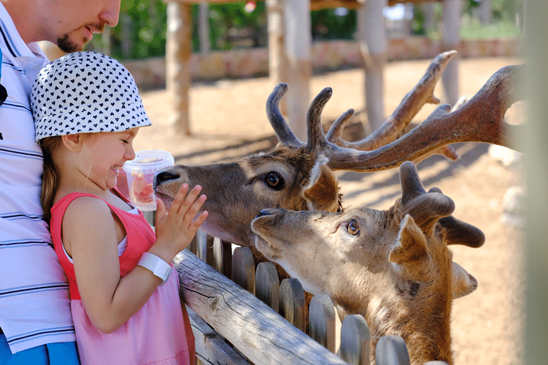 kudu petting zoo in fredericksburg texas